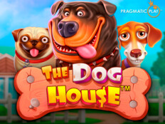 Karadeniz akdeniz otoyolu. The dog house casino.75